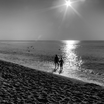 Dreaming about the sea