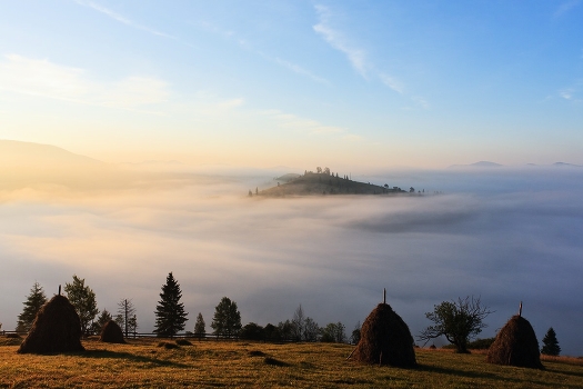Misty Island