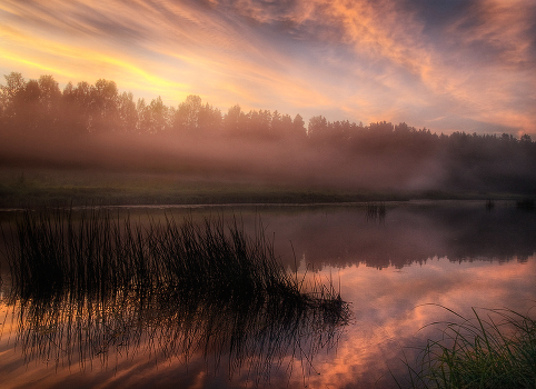 Pink mist