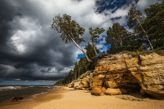 Amber Coast