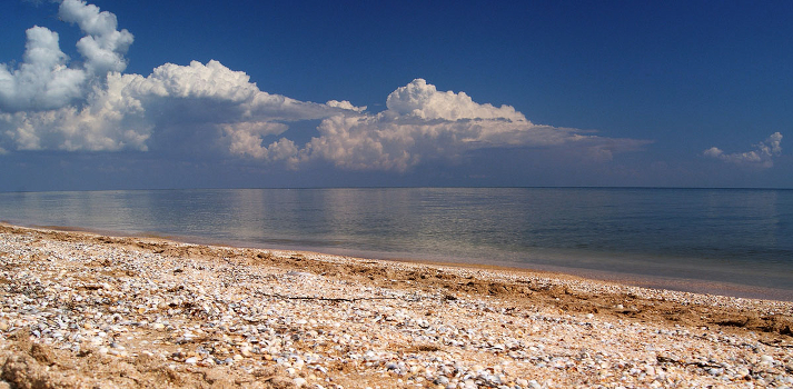 Series: Sea
