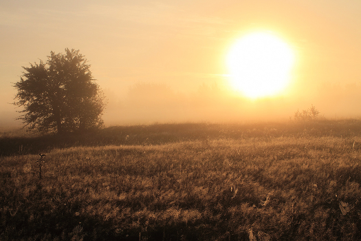 Sunrise-3