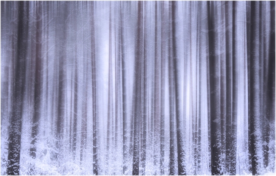 in mist