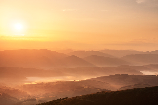 Paints dawn