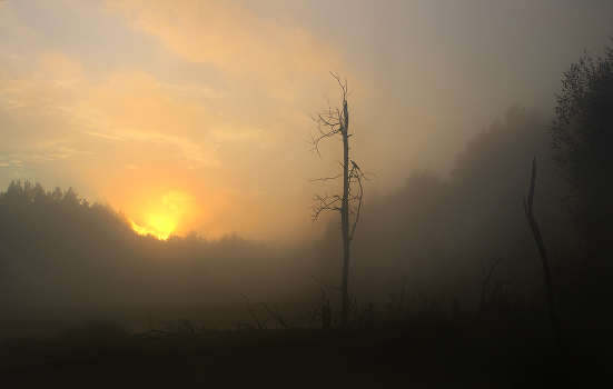 Misty Evening