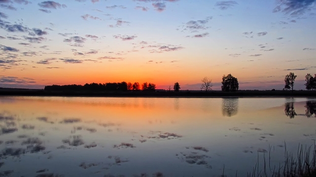 Morning landscape