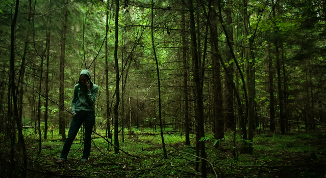 Glybokі forest