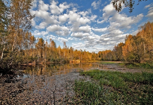 Indian summer