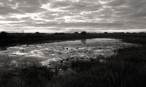 September morning-2