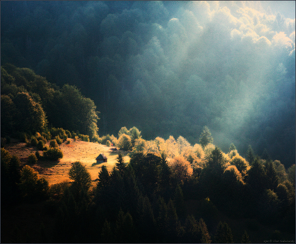 / First rays ... /