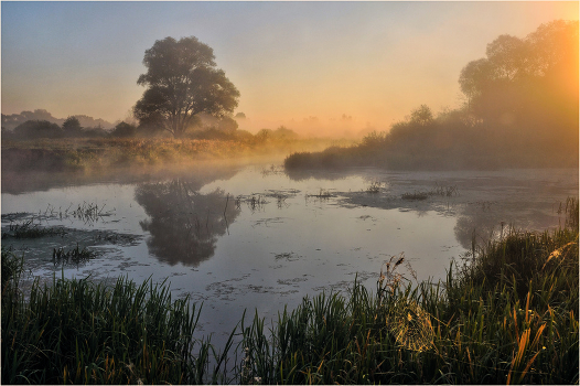 In the morning