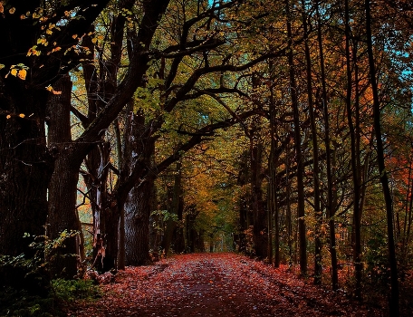 Sukhanovo. Autumn.