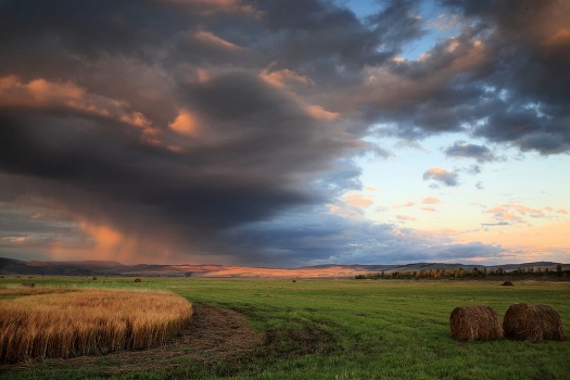 Before the Storm