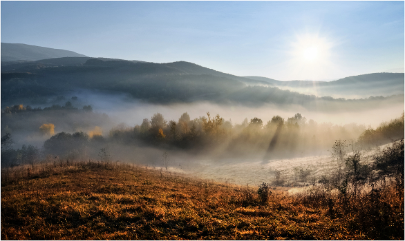 Of the morning sun ...