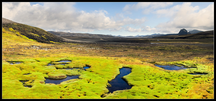 Iceland Plateau