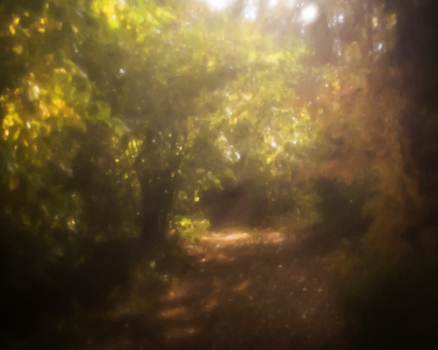 autumn, a fall