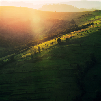 Golden ray of sunlight