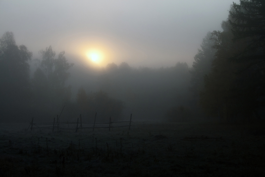 Foggy sunrise