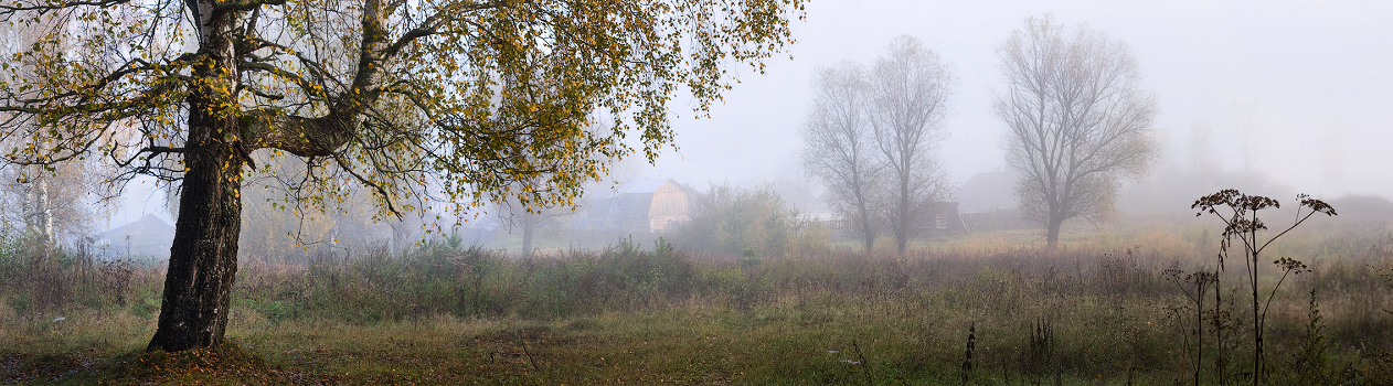 Autumn morning