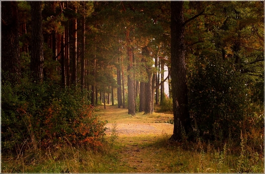 In the early autumn