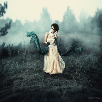 Fog princess