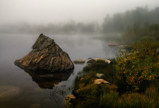 Fog with stone