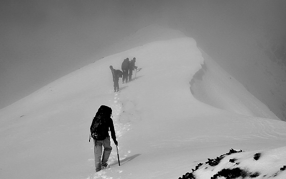 to the top