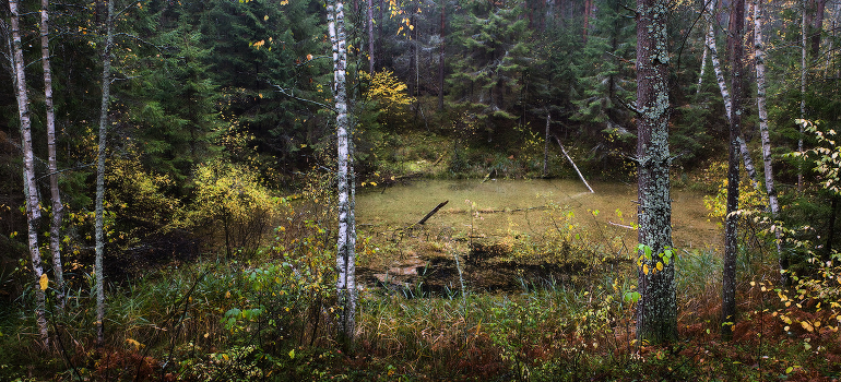A failure in the autumn