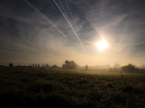 Fog ... ...