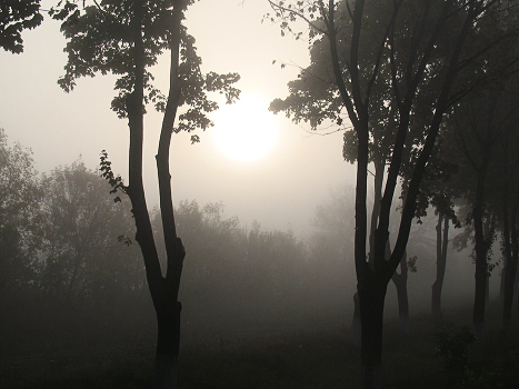 Through the fog.