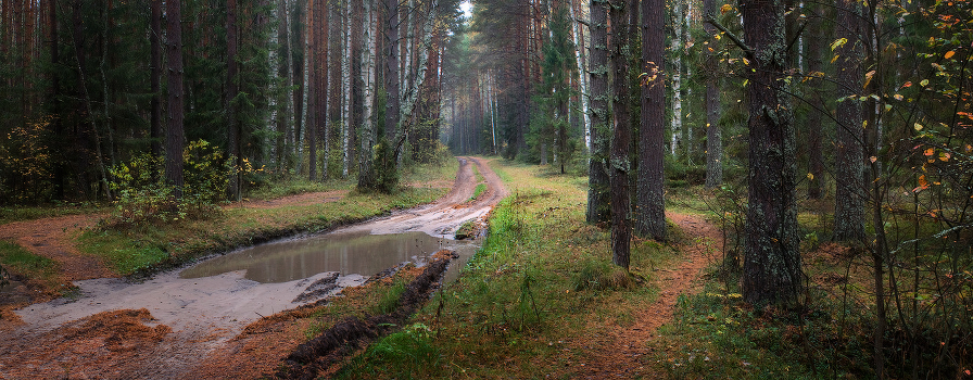On the way, you will not pass