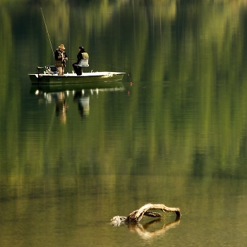 Conversations about fishing.