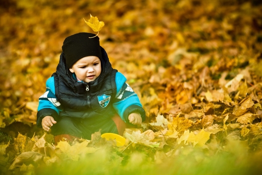 Max)