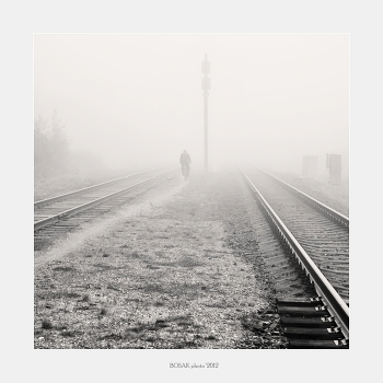 The road in fog