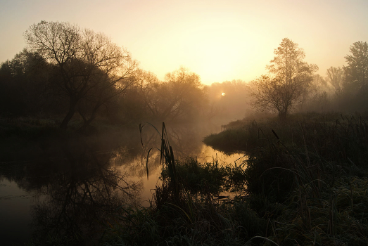Dawn