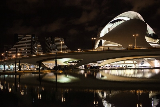 Valencia night. View of the concert hall.