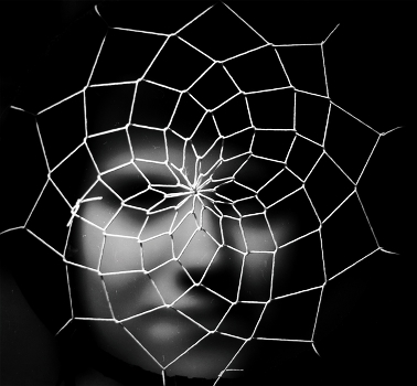 Spider madonna