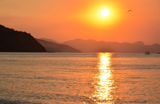 Dawn