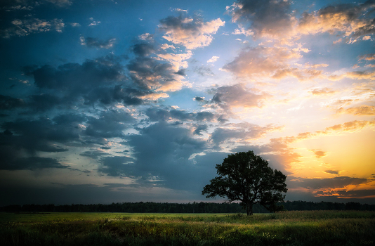 Summer morning