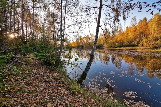 remembering Fall