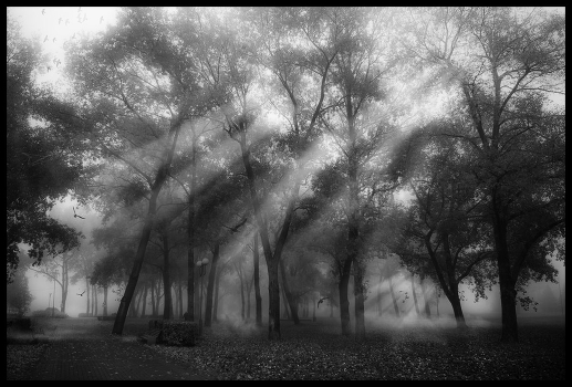 MISTery