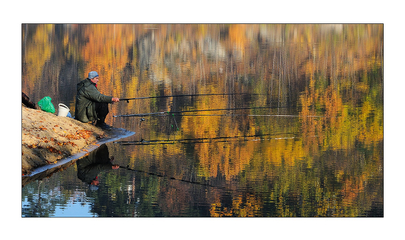 reflection of autumn