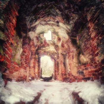 |   RUINS   |