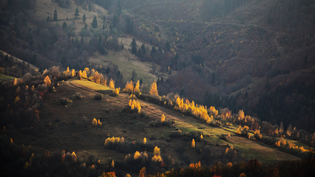 Evening in early November