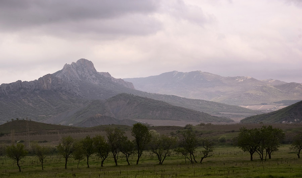 Sudak motives