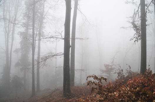 Something like a fog
