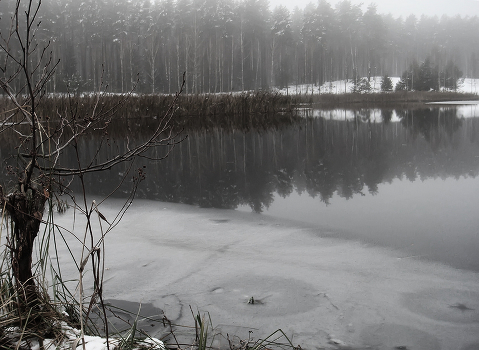 Melancholy November ...