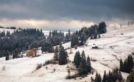 First snow