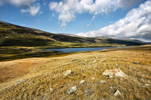 Altai Mountains
