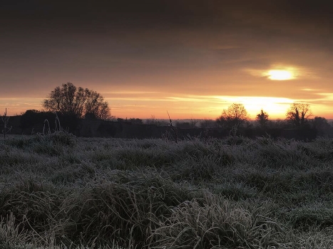 Frosty ... ...